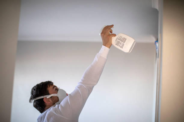 Professional Mold Remediation in Hallettsville, TX